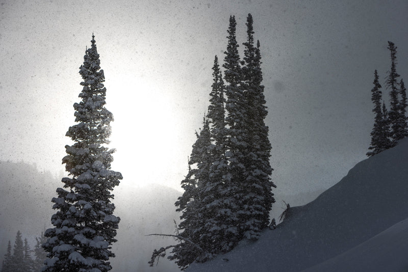 We Build Skis to Last