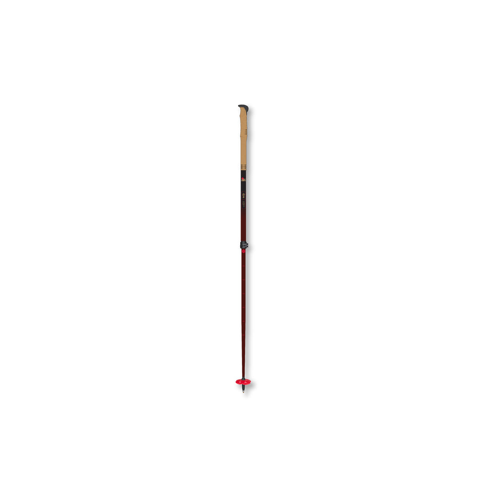 Carbon Ultralight Adjustable Pole