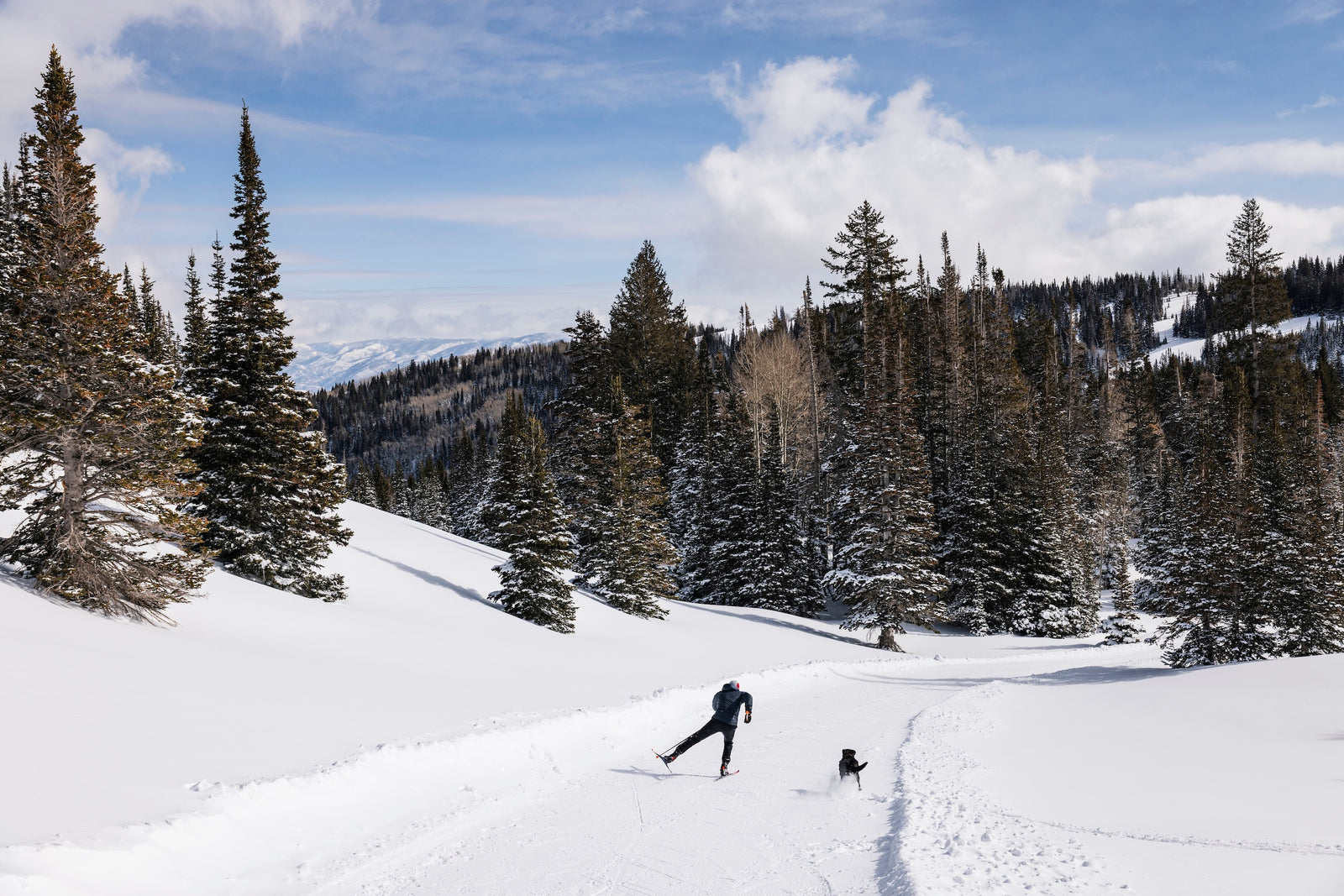 PHANTOM Glide™ Nordic Single Application Kit